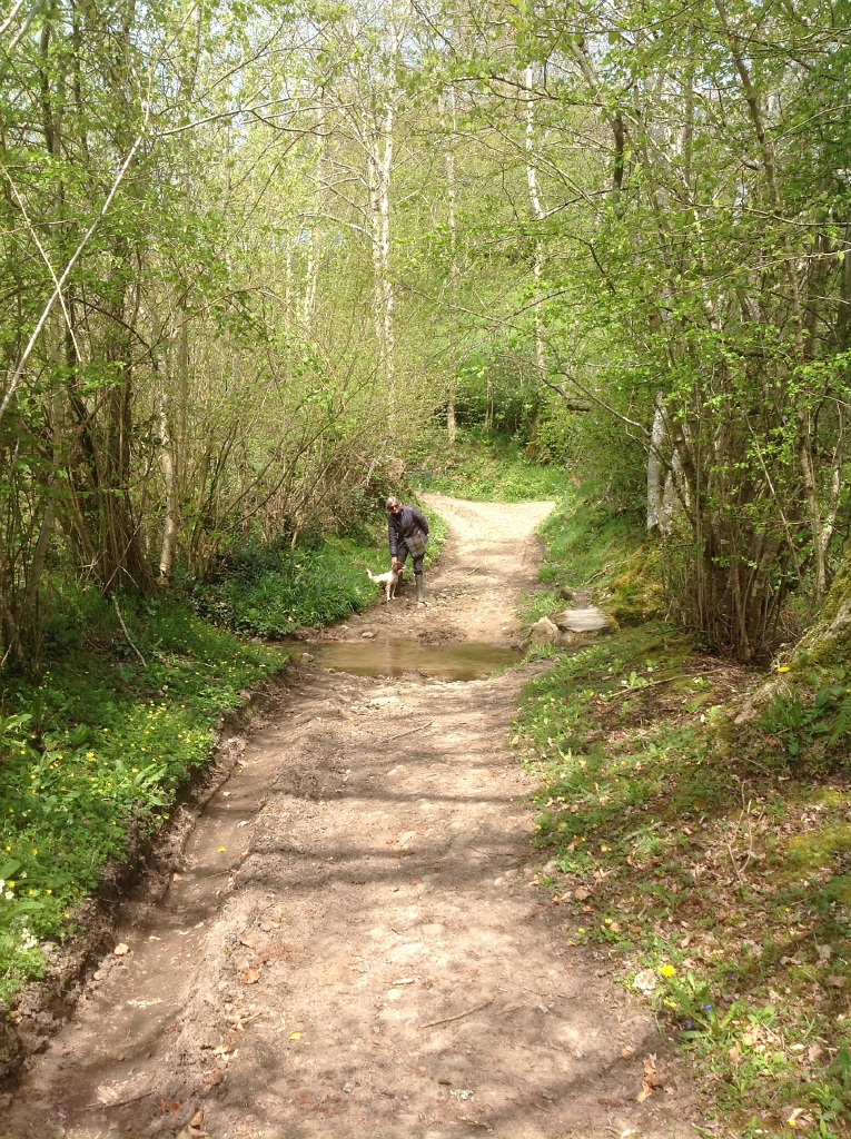 20130501 GOUVETS PATH & FORD BRIDGE 08.jpg